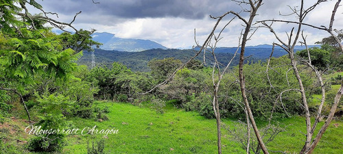 Increíble Terreno Con Manantial