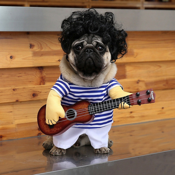Perro Mascota Guitarrista Ropa Divertido Guitarra Disfraz Ba Perro Mascota Guitarrista Ropa Divertido Guitarra Disfraz Ba