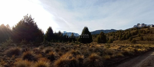 Imagen 8 de 26 de Susana Aravena Vende Lote En Meliquina