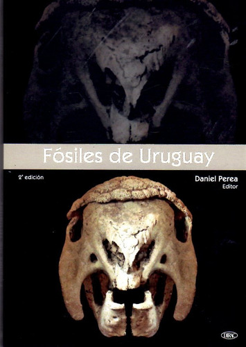 Fósiles De Uruguay / Daniel Perea