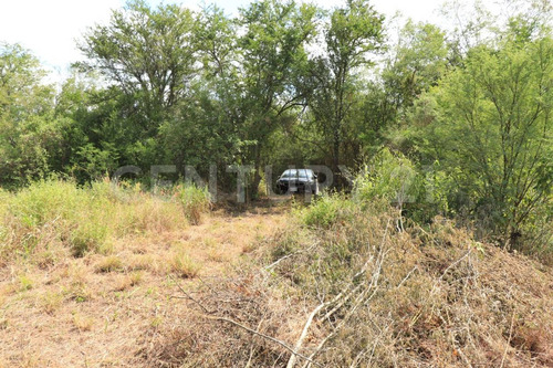 Terrenos En Venta En Las Puentes Gil De Leyva, Montemorelos, Nuevo León