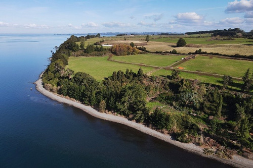 Maravillosas Parcelas Con Orilla De Lago Llanquihue