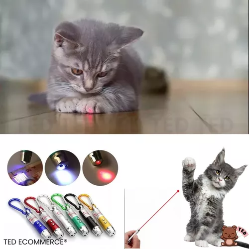 Laser point lanterna 3 em 1 Laser para gato