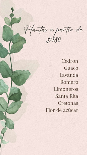 Plantines De Huerta Y Más