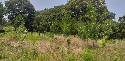 Imagen 5 de 6 de Terreno Campestre En Santa María Ahuacatitlán / Cuernavaca - Maz-126-tca