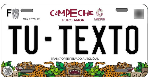 Placas Para Auto Personalizadas Campeche 2023