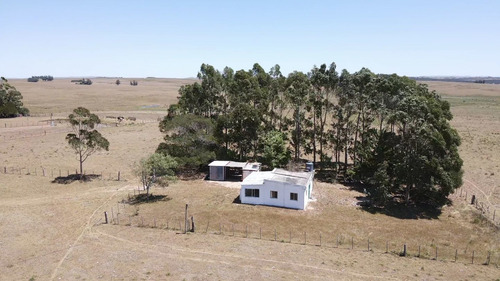 Imagen 7 de 15 de Chacra Con Casa Garzón 14ha (ref: Atm-6948)