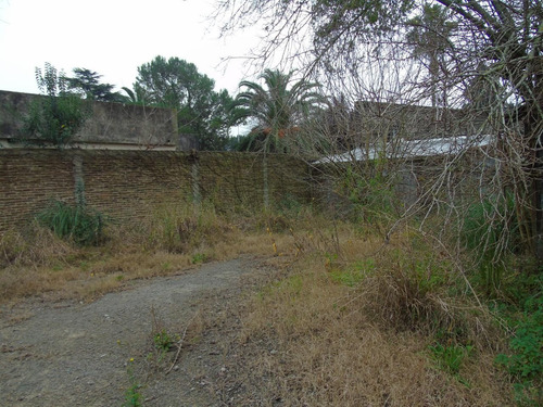 Imagen 6 de 15 de Terreno En Venta En Gonnet Calle 504 E/ Camino Belgrano Y 23 - Dacal Bienes Raices