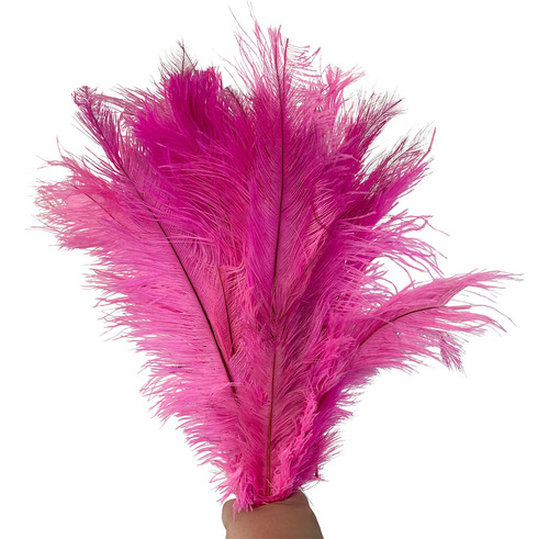 Plumas De Avestruz Penas Palito Decoração Carnaval 100g Cor Rosa