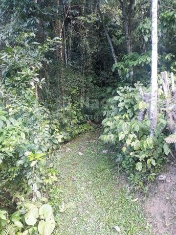 Imagem 5 de 23 de Chácara À Venda Em Benedito Novo/sc - 1738c
