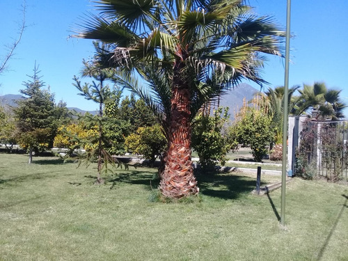 Venta Parcela Centro Eventos / Habitacional Paine Acceso Sur