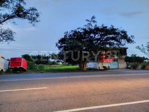 Terreno En Renta En Adolfo López Mateos, Yecapixtla, Morelos