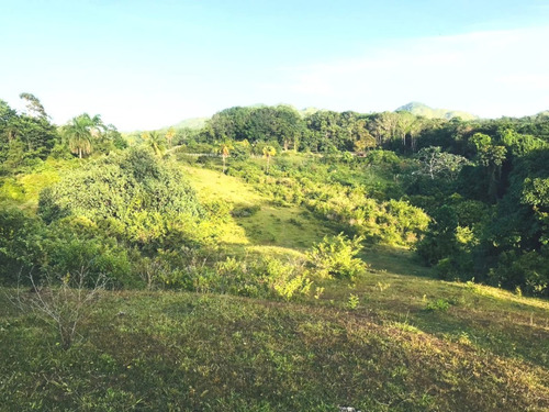 En Venta Terreno 191,000 Metros, Las Guazaras, Samana (caballos)