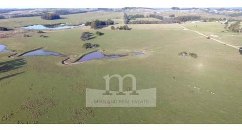 Venta De Excelente Campo - Chacra Maritima - La Barra - Punta Del Este