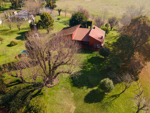 Imagen 4 de 29 de Chacra - Casa Quinta De 20 Ha En Uribelarrea