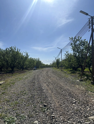 Acceso Sur- Rio Maipo- Curihue/ -parcela Con Luz Y Agua Inst