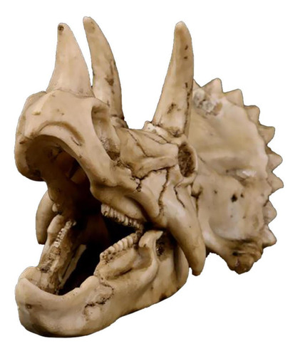 Modelo De Resina Cráneo Triceratops Cabeza Bricolaje