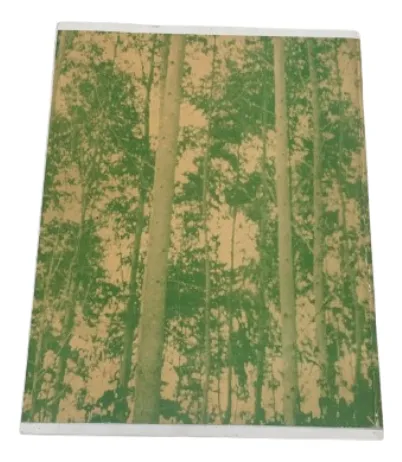 Comportamiento De Especies Procedentes De Eucalyptus Urabá