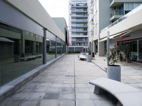Imagen 12 de 15 de Local Comercial O Oficina - Barrio Sur - Alquiler Cw124048