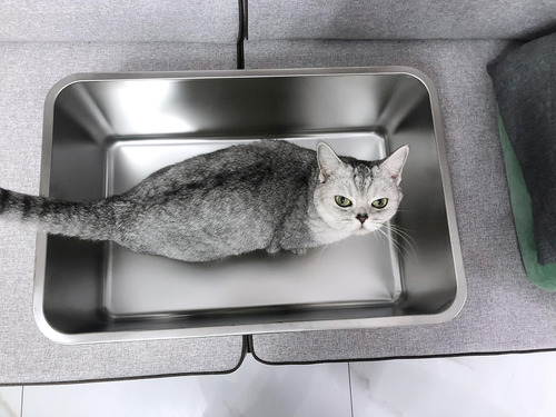 Caja De Arena Para Gatos De Acero Inoxidable Ikitchen, Tamañ