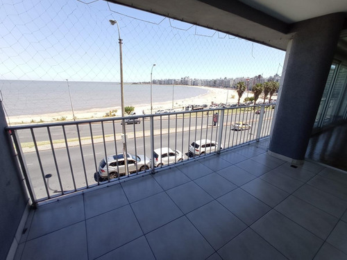 Imagen 4 de 18 de Apartamento - Rambla Y Pereira De La Luz, 200 M2 , Gge * 2 , Box , Reciclado !!