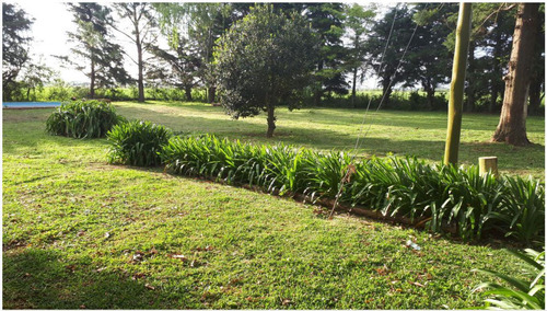 Campo De 30 Hectáreas En Pergamino