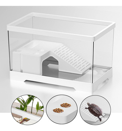 Tanque De Tartaruga, Acessórios Para Habitat Branco Médio