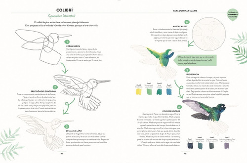 Pintar Acuarelas En 10 Pasos : Aves - Pintar 25 Aves
