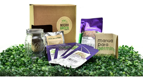 Semilla Germinado Microgreen Pack Falcon Seeds