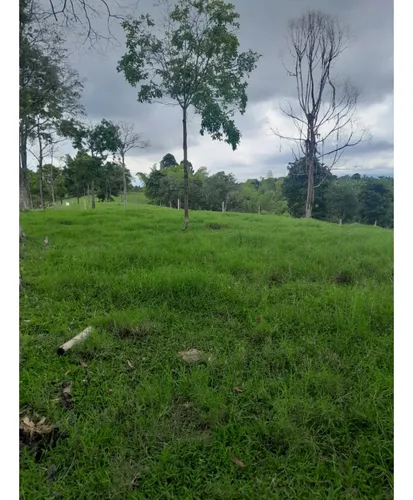 Venta Finca Montenegro Sector Vereda Pueblo Rico - 11 Cuadras