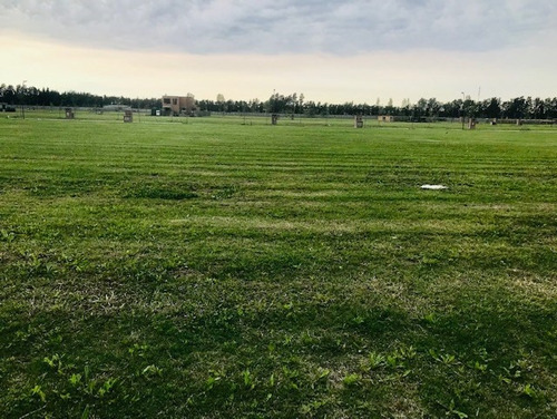 Imagen 2 de 12 de Oportunidad Terreno Lote En Venta Ubicado En Carpinchos, Nordelta