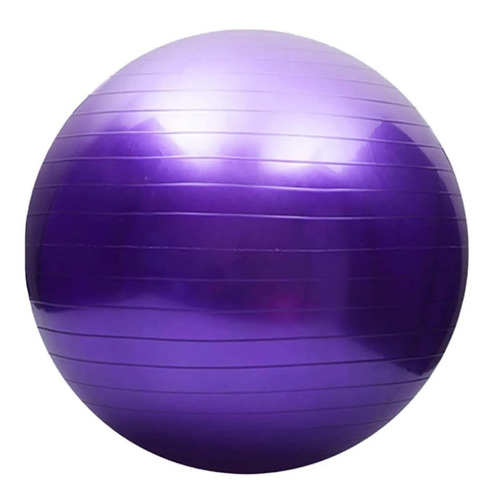 Pelota 65 Cm Esferodinamia Proyec Ball Pilates Yoga