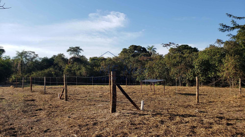 Imagem 1 de 30 de Chácara, Campo Alto, Pirassununga - R$ 180 Mil, Cod: 10131719 - V10131719