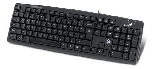 Teclado Genius Kb-c100  Ps2