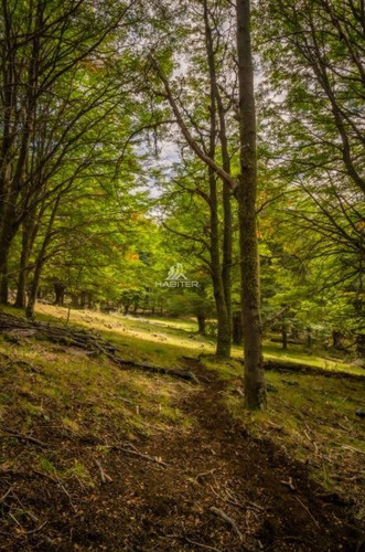 Imagen 3 de 21 de Sitio En Loteo Venta En Cerro Castillo Río Ibáñez Aysen