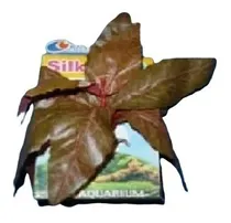 Comprar Plantas Artificiales Decorativas Para Acuarios 10cms Follaje
