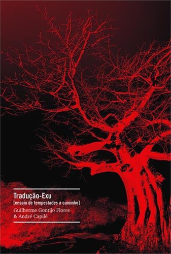 Traduçao-exu: Ensaio De Tempestades A Caminho - 1ªed.(2022), De Andre Capile. Editora Relicário, Capa Mole, Edição 1 Em Português, 2022