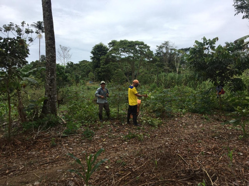 Imagen 23 de 23 de Finca 32 Has/lotes De 3 Has