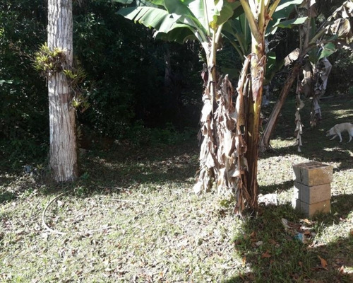 Imagem 14 de 25 de Chacara - 18 - 32939042