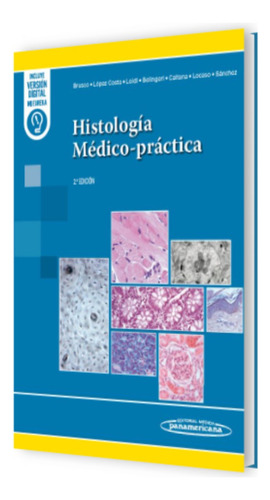 Histología Médico-práctica, De Herminia Alicia Brusco. Editorial Editorial Médica Panamericana, Tapa Blanda, Edición 2 En Español, 2025
