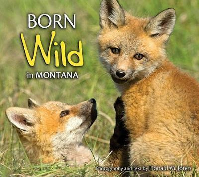 Libro Born Wild In Montana - Donald M Jones