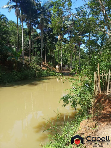 Imagem 15 de 15 de Sitio Familiar Com 3 Lagos Para Psicultura Em Miracatu-sp - 946