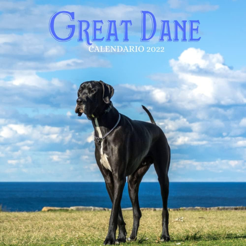 Libro: Great Dane Calendario 2022: Calendario 2022 8.5  X8.5