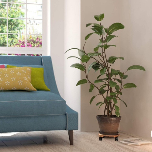 Maceta De Madera Con Ruedas Redondas, Soporte Móvil Para