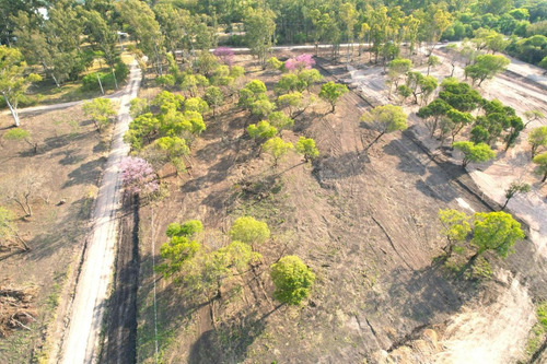Terreno - Parana