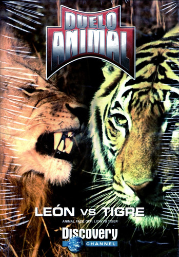 Dvd Duelo Animal Leon Vs Tigre - Discovery Channel | Meses sin intereses