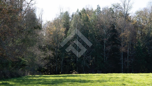 Sitios En Venta En Panguipulli