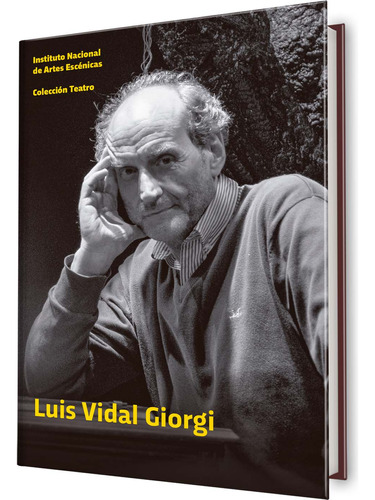 Libro Luis Vidal Giorgi De Instituto Nacional De Las Artes E