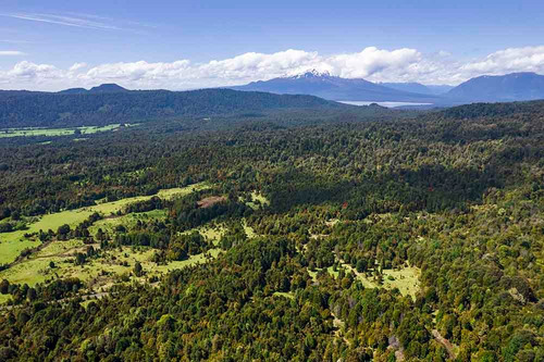 Parcela De 1 Hectarea En Puerto Varas