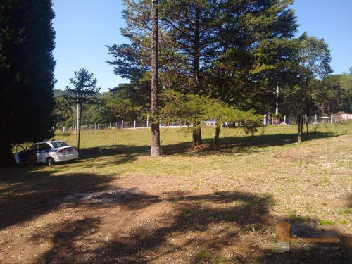Imagem 15 de 17 de Chácara À Venda, 3090 M² Por R$ 250.000,00 - Vila Seca - Caxias Do Sul/rs - Ch0001